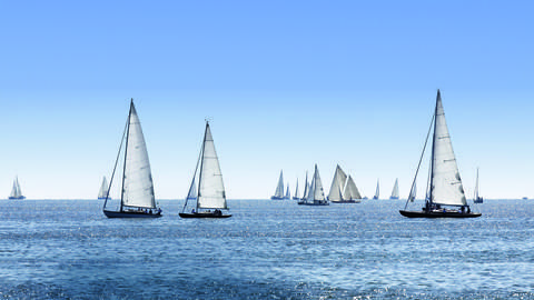 Mehrere Segelboote auf dem Bodensee mit blauem Himmel.
