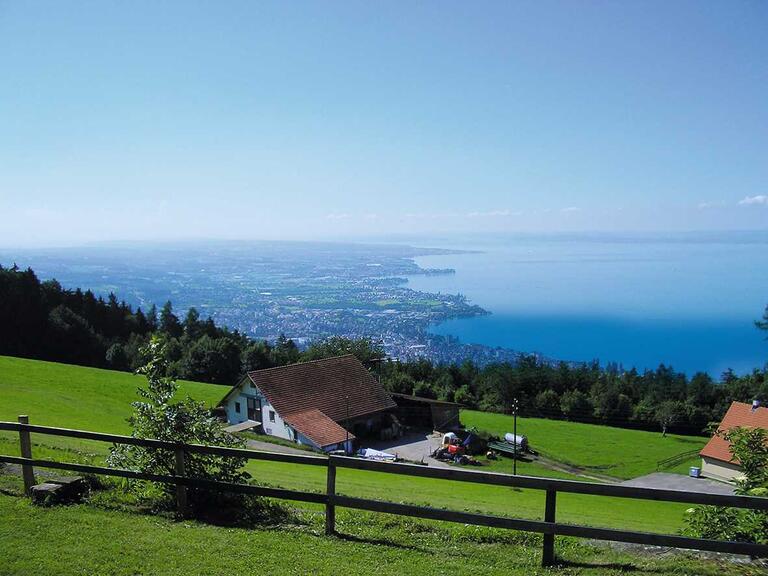 Blick von einer grünen Wiese in der Schweiz auf den Bodensee. 