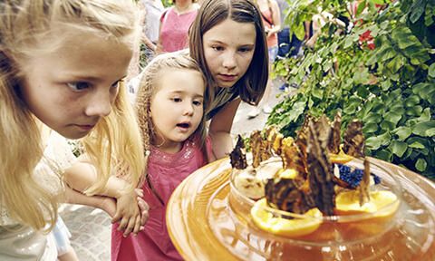 Drei Kinder, die ein paar Schmetterlingen dabei zusehen, wie sie eine Orange essen